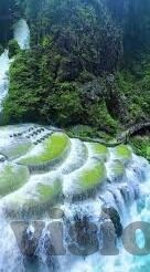 大象传媒大象传媒-大象传媒,塑造文化桥梁,传递时代声音