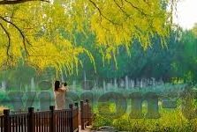 大象传媒视频大全-探索大象传媒视频大全的多元魅力与文化价值