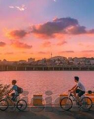 糖心vlog软件下载-糖心Vlog软件,创作自由的视频编辑新篇章