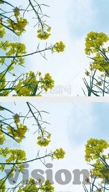 同性日韩AV首页-探索多元文化视角下的日韩影视艺术——以同性题材为例